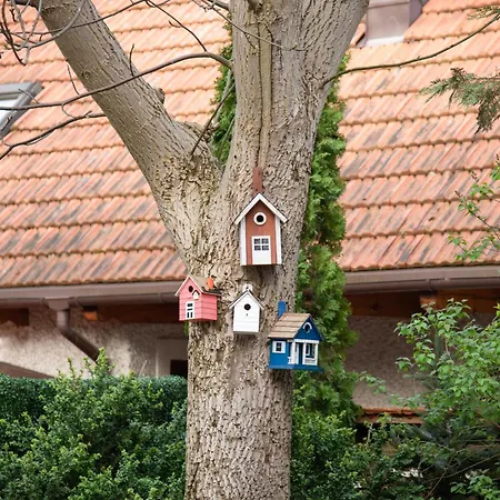 Julius 아파트 소포트