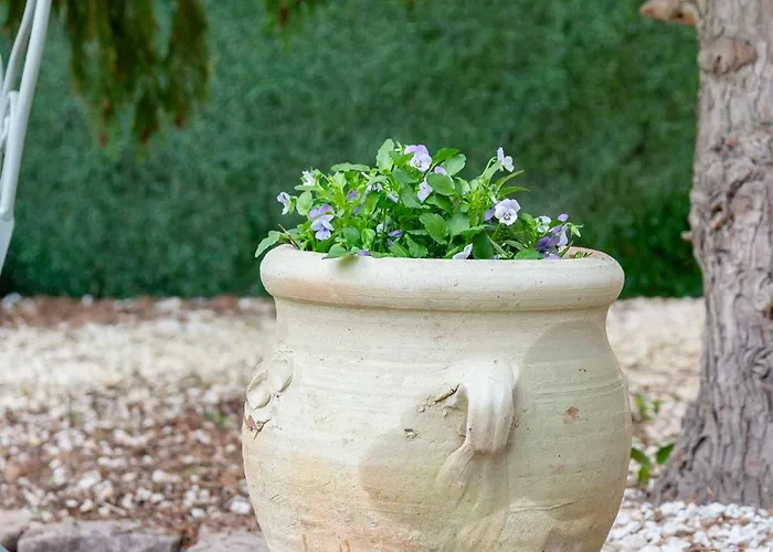 Appartement Julius *